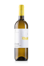 Carica l'immagine nel visualizzatore di Gallery, "FA' BENE" CHARDONNAY IGT COLLINE TEATINE BIO