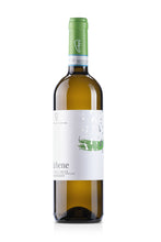 Carica l'immagine nel visualizzatore di Gallery, "FA' BENE" TREBBIANO D'ABRUZZO DOC BIO