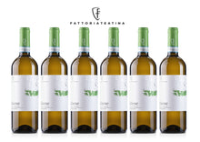 Carica l'immagine nel visualizzatore di Gallery, "FA' BENE" TREBBIANO D'ABRUZZO DOC BIO