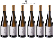 Carica l'immagine nel visualizzatore di Gallery, “Sovignó” SAUVIGNON BLANC VINO BIANCO BIO